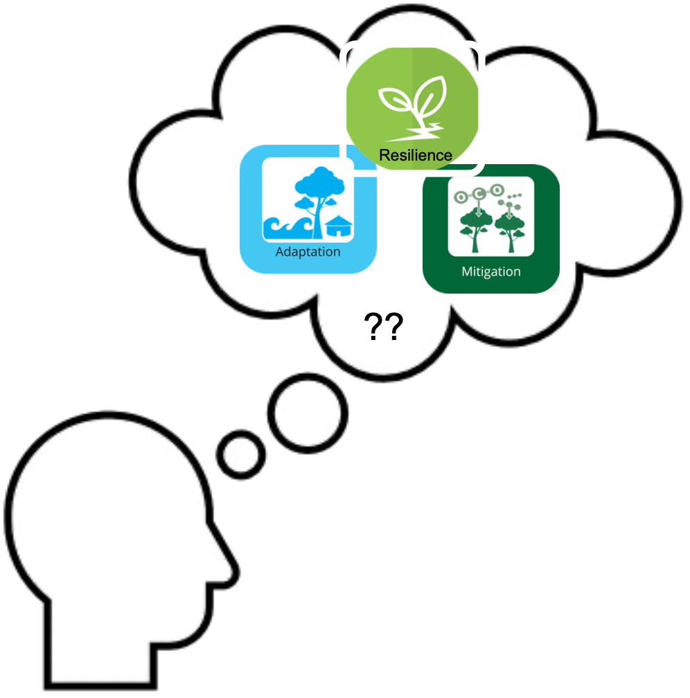 CleanShot 2024-06-07 at 11.50.14@2x.png